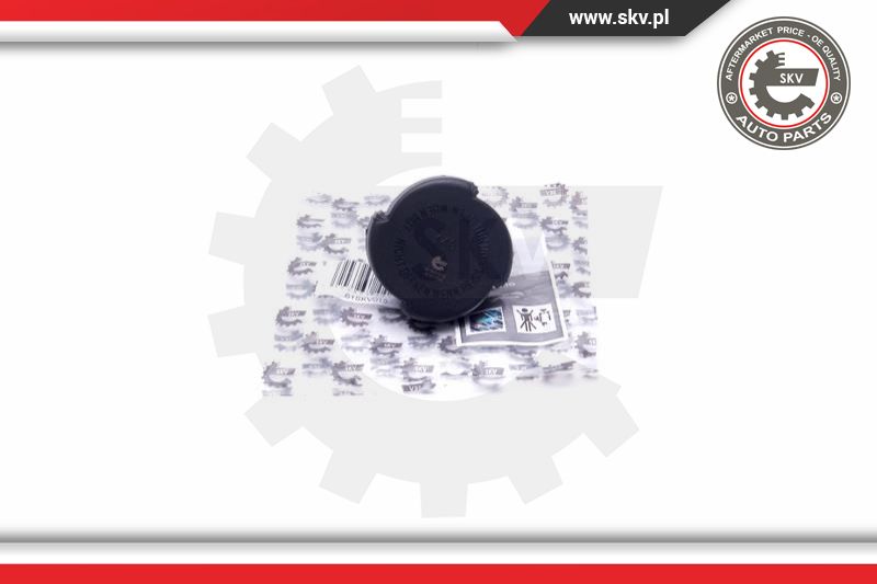 Radiatoriaus dangtelis ESEN SKV 61SKV015
