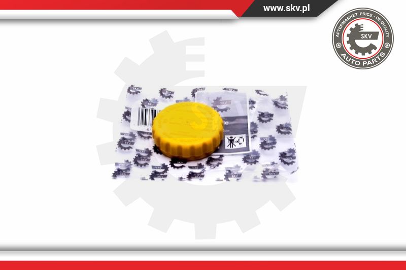 Radiatoriaus dangtelis ESEN SKV 61SKV020