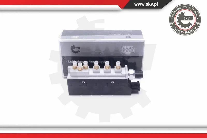 Suspausto oro sistemos vožtuvas ESEN SKV 93SKV802