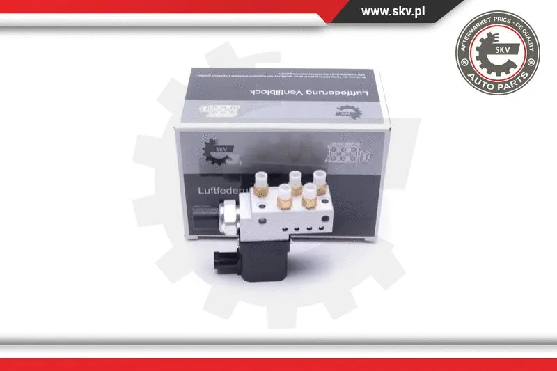 Suspausto oro sistemos vožtuvas ESEN SKV 93SKV807