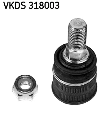 Atramos/vairo traukė SKF VKDS 318003