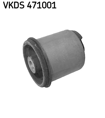 Ašies korpusas SKF VKDS 471001