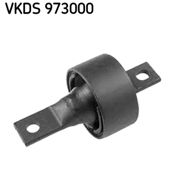 Ašies korpusas SKF VKDS 973000