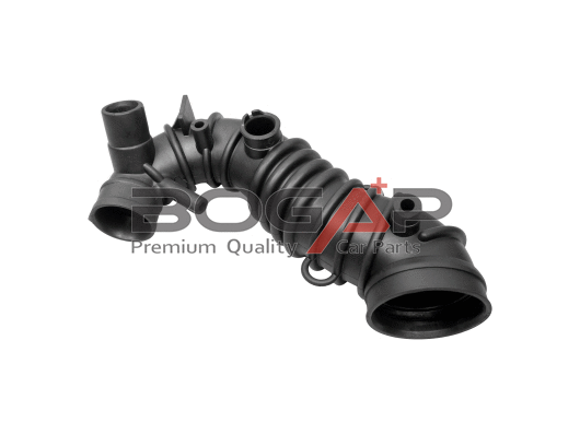 Karterio alsuoklio žarna BOGAP A1210109