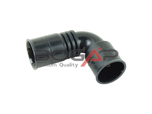 Karterio alsuoklio žarna BOGAP A1210206