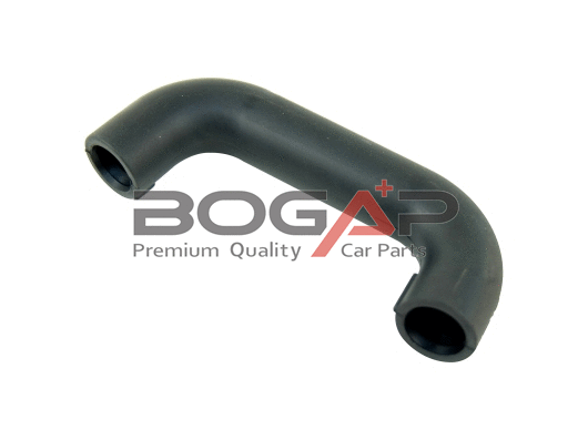 Karterio alsuoklio žarna BOGAP C1210105