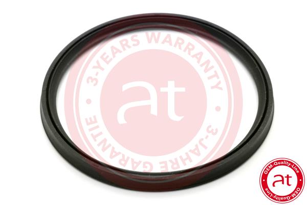 Turbinos oro žarnos tarpinė at autoteile germany at23810