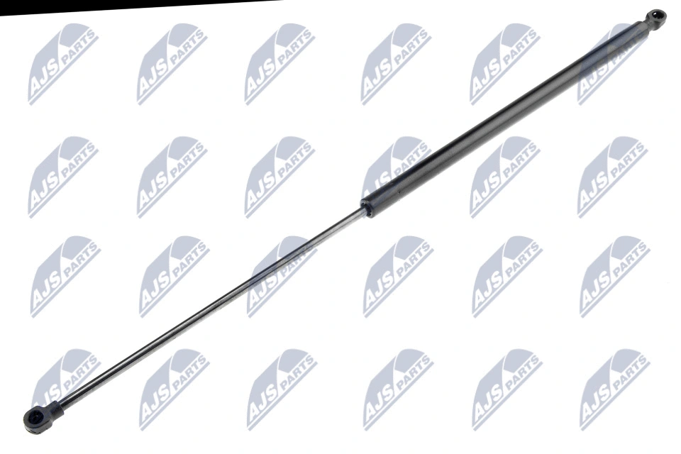 Bagažinės dujinė spyruoklė NTY AE-CT-009