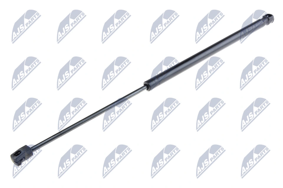 Bagažinės dujinė spyruoklė NTY AE-FR-030