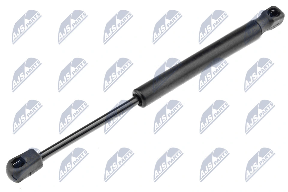Bagažinės dujinė spyruoklė NTY AE-VW-013