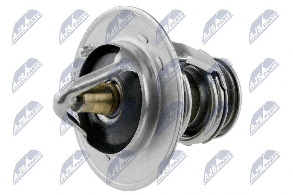 Termostatas NTY CTM-NS-000