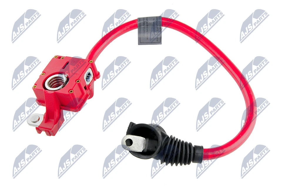 NTY EBP-BM-004