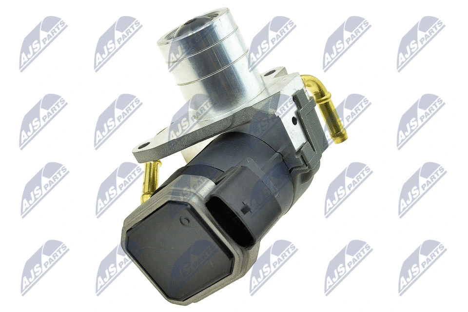 ERG vožtuvas NTY EGR-PL-006