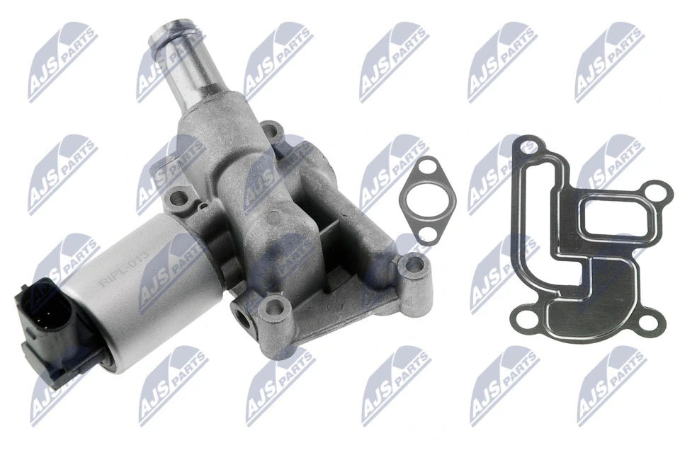 ERG vožtuvas NTY EGR-PL-013