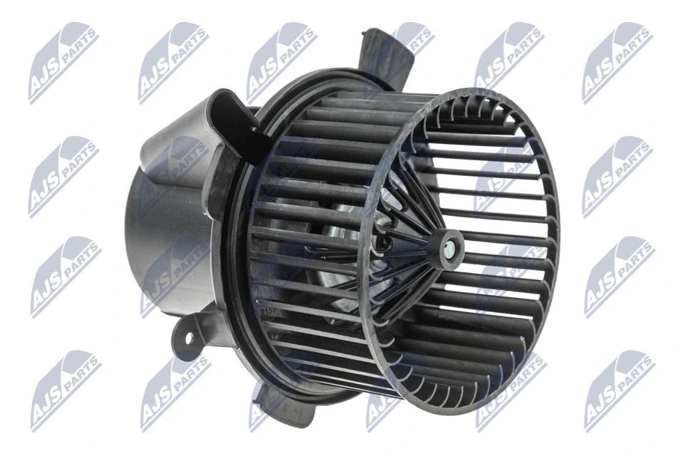 Vidaus putiklis NTY EWN-CT-001