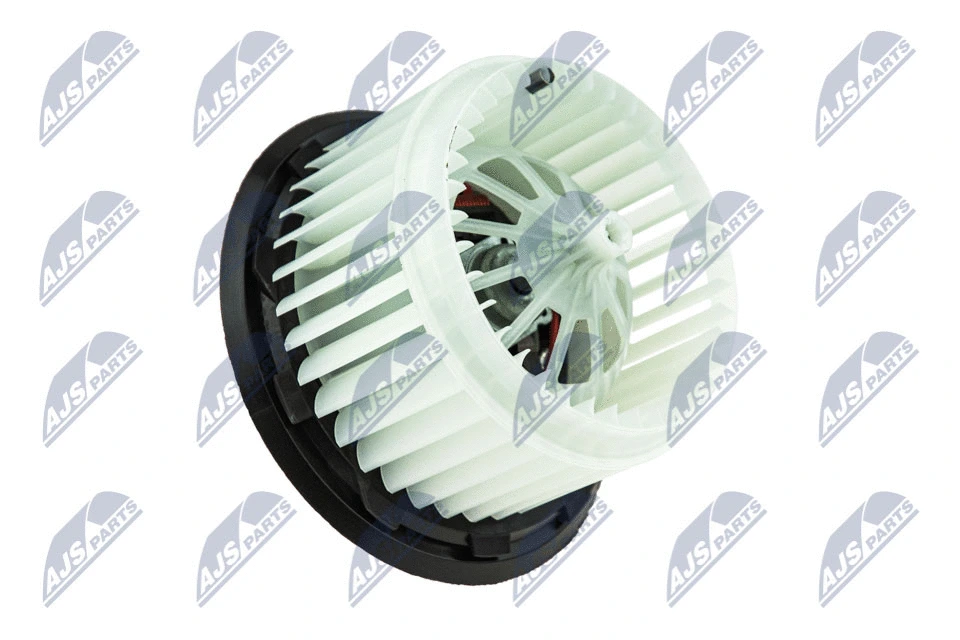 Vidaus putiklis NTY EWN-VW-010