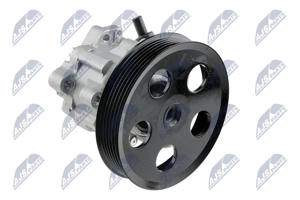 Vairo sistemos hidraulinis siurblys NTY SPW-AU-009