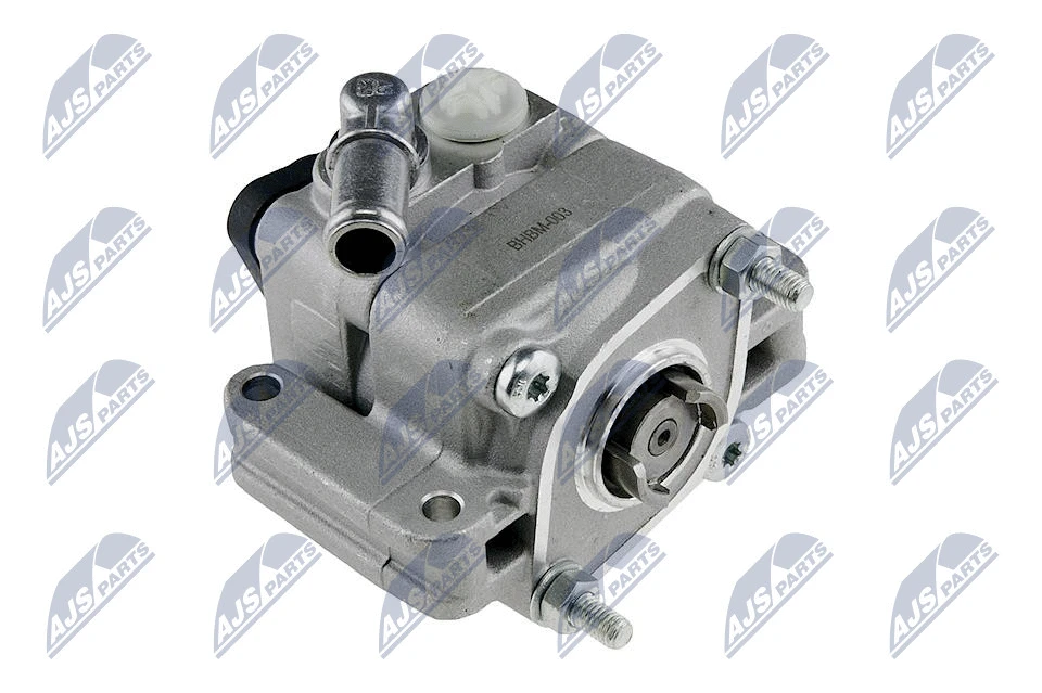 Vairo sistemos hidraulinis siurblys NTY SPW-BM-003