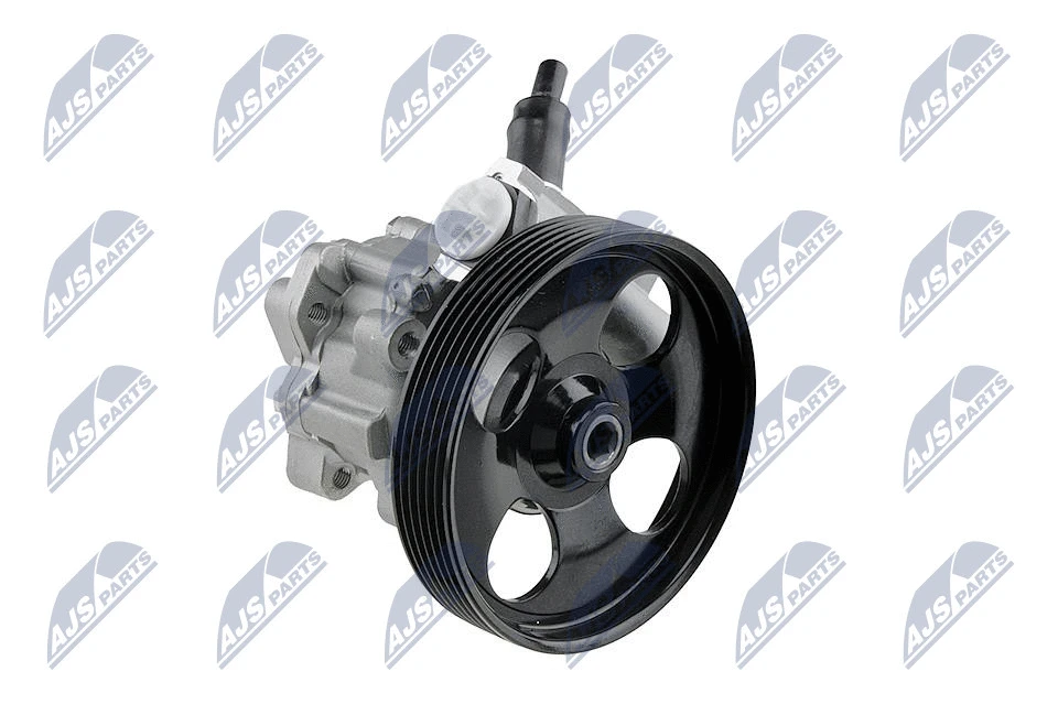 Vairo sistemos hidraulinis siurblys NTY SPW-CT-004