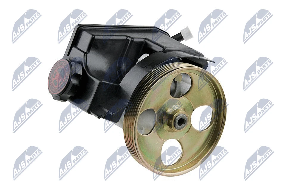 Vairo sistemos hidraulinis siurblys NTY SPW-CT-007