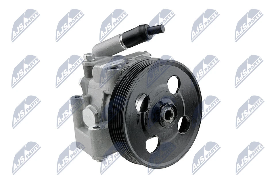 Vairo sistemos hidraulinis siurblys NTY SPW-FR-011