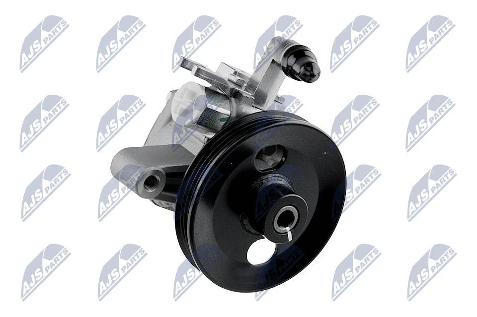Vairo sistemos hidraulinis siurblys NTY SPW-HY-504