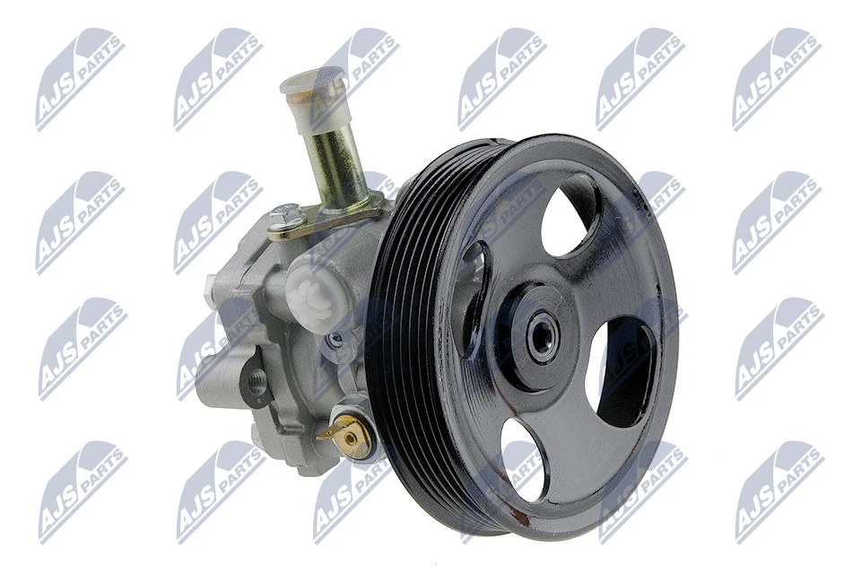 Vairo sistemos hidraulinis siurblys NTY SPW-MS-004