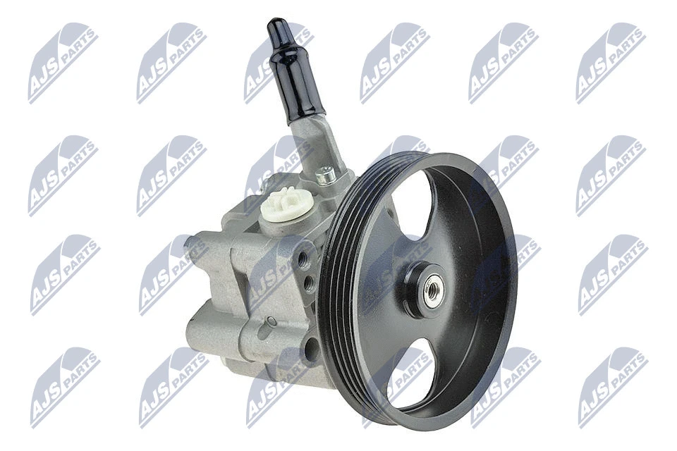 Vairo sistemos hidraulinis siurblys NTY SPW-NS-001