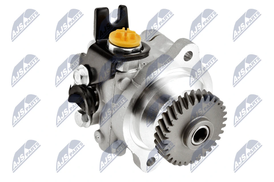 Vairo sistemos hidraulinis siurblys NTY SPW-NS-011