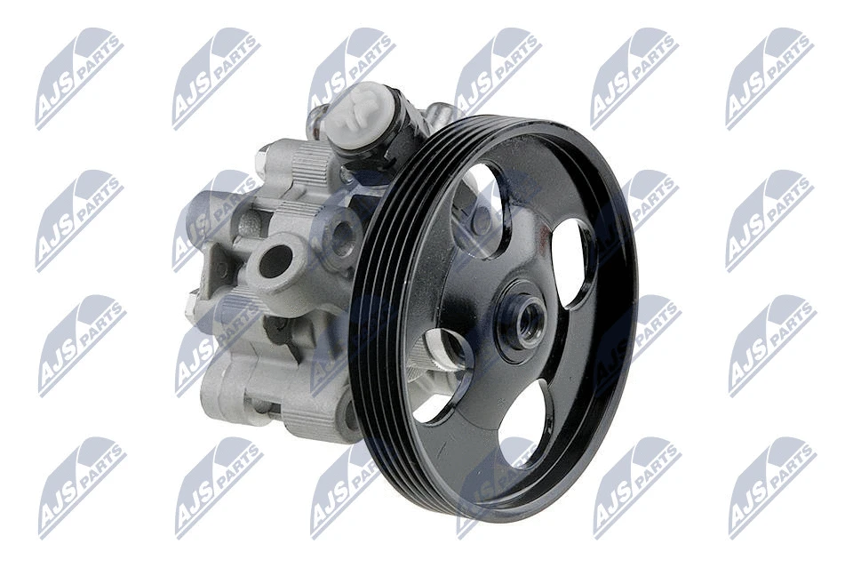 Vairo sistemos hidraulinis siurblys NTY SPW-TY-002