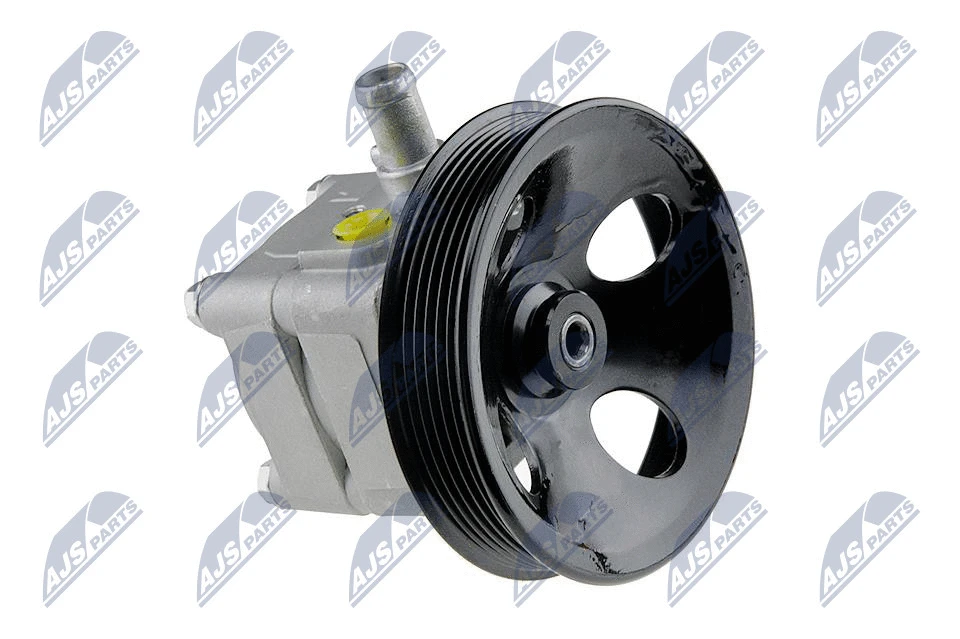 Vairo sistemos hidraulinis siurblys NTY SPW-VV-007