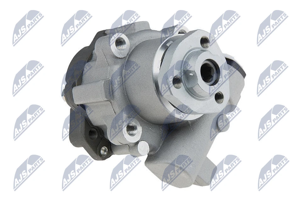 Vairo sistemos hidraulinis siurblys NTY SPW-VW-013