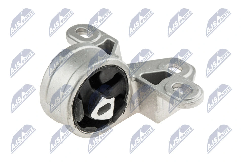 Variklio montavimas NTY ZPS-CH-001