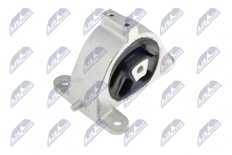Variklio montavimas NTY ZPS-CH-002
