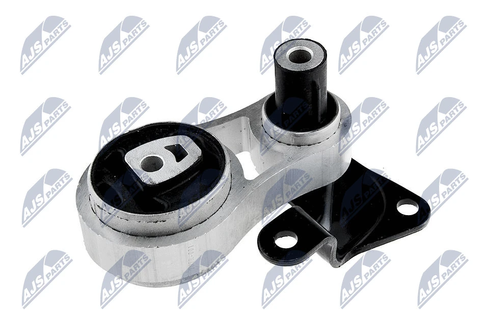 Variklio montavimas NTY ZPS-FR-001