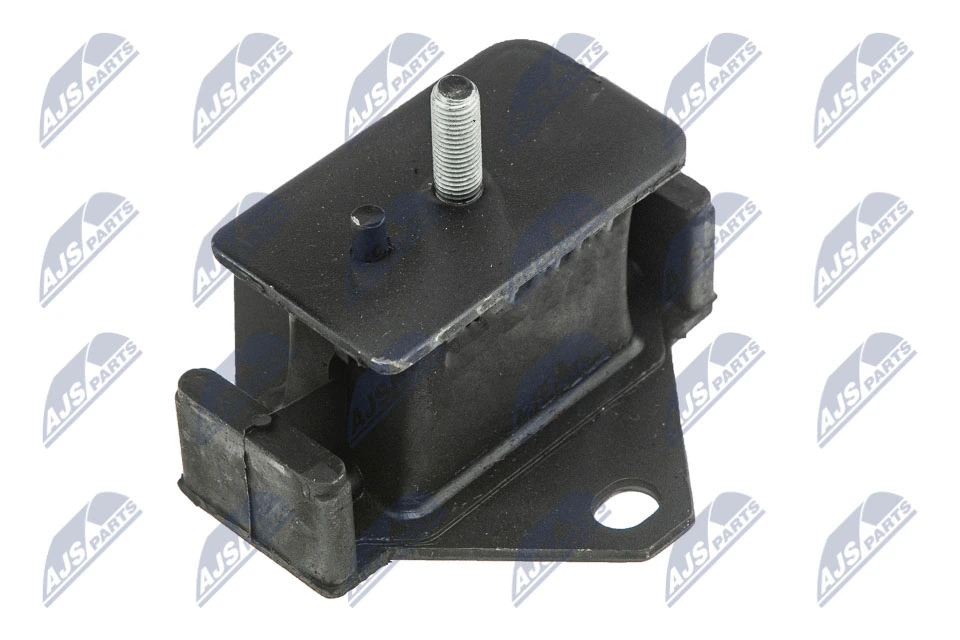 Variklio montavimas NTY ZPS-MS-083