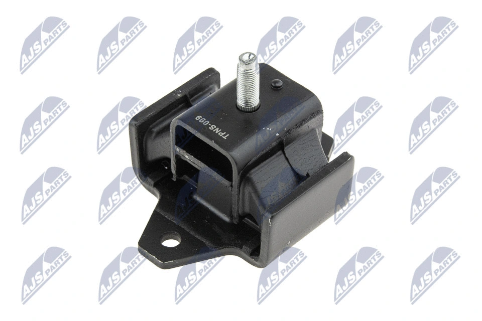Variklio montavimas NTY ZPS-NS-099