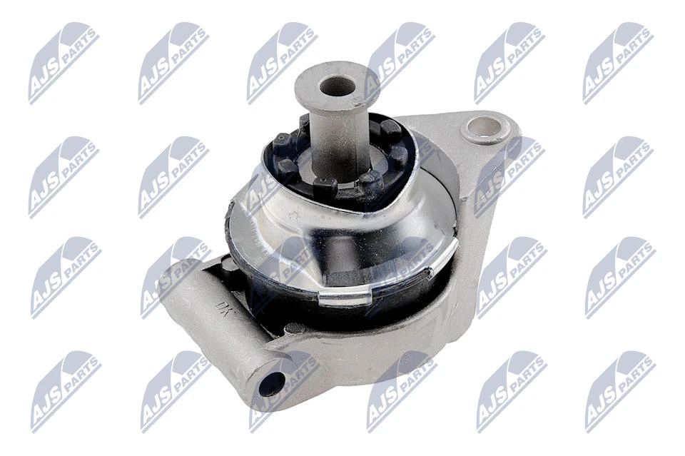Variklio montavimas NTY ZPS-PL-027