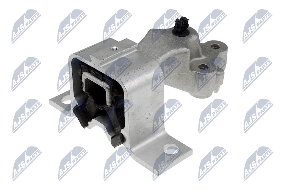 Variklio montavimas NTY ZPS-RE-000