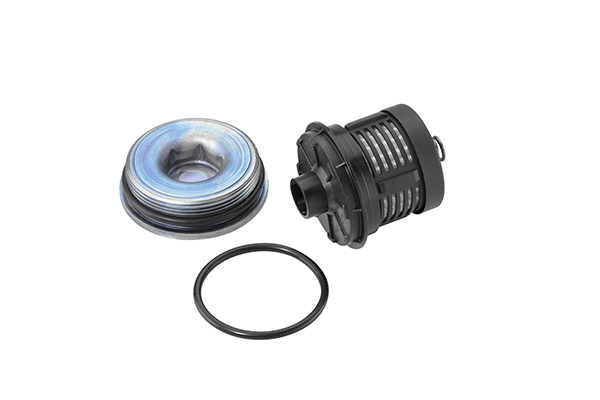 Hidraulinis filtras BorgWarner (AWD) DS120456