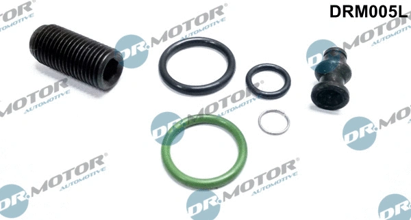 Siurblio-purkštukų bloko remonto komplektas Dr.Motor Automotive DRM005L