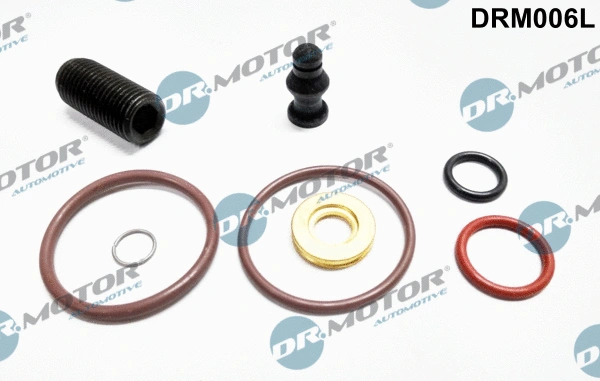 Siurblio-purkštukų bloko remonto komplektas Dr.Motor Automotive DRM006L