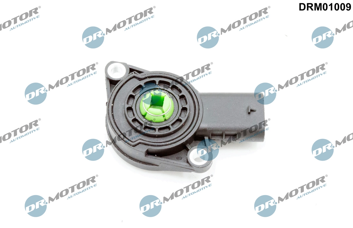 Įsiurbimo vamzdžio atgalinės sklendės jutiklis Dr.Motor Automotive DRM01009