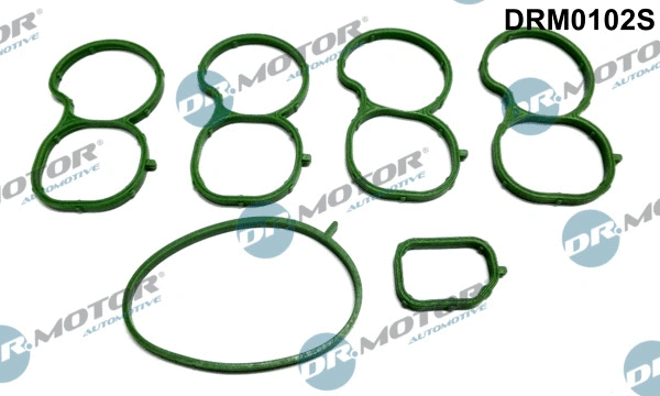 Įsiurbimo kolektoriaus tarpinių rinkinys Dr.Motor Automotive DRM0102S