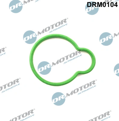 Įsiurbimo kolektoriaus tarpinė Dr.Motor Automotive DRM0104