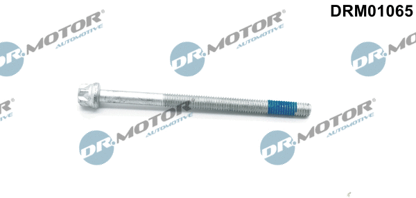 Purkštuko antgalio laikiklio varžtas Dr.Motor Automotive DRM01065
