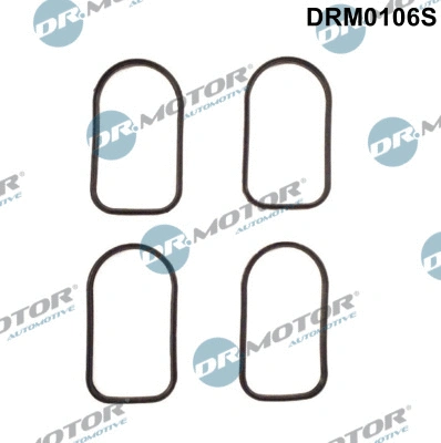 Įsiurbimo kolektoriaus tarpinių rinkinys Dr.Motor Automotive DRM0106S