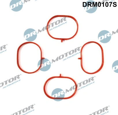 Įsiurbimo kolektoriaus tarpinių rinkinys Dr.Motor Automotive DRM0107S