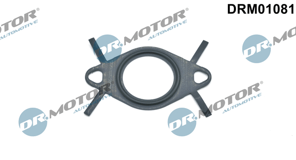 EGR vožtuvo vamzdelio tarpinė Dr.Motor Automotive DRM01081