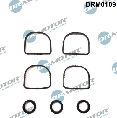 Įsiurbimo kolektoriaus tarpinių rinkinys Dr.Motor Automotive DRM0109